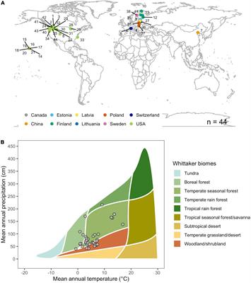 Controls of Initial Wood Decomposition on and in Forest Soils Using Standard Material
